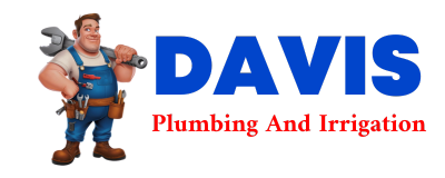 Trusted plumber in HORICON